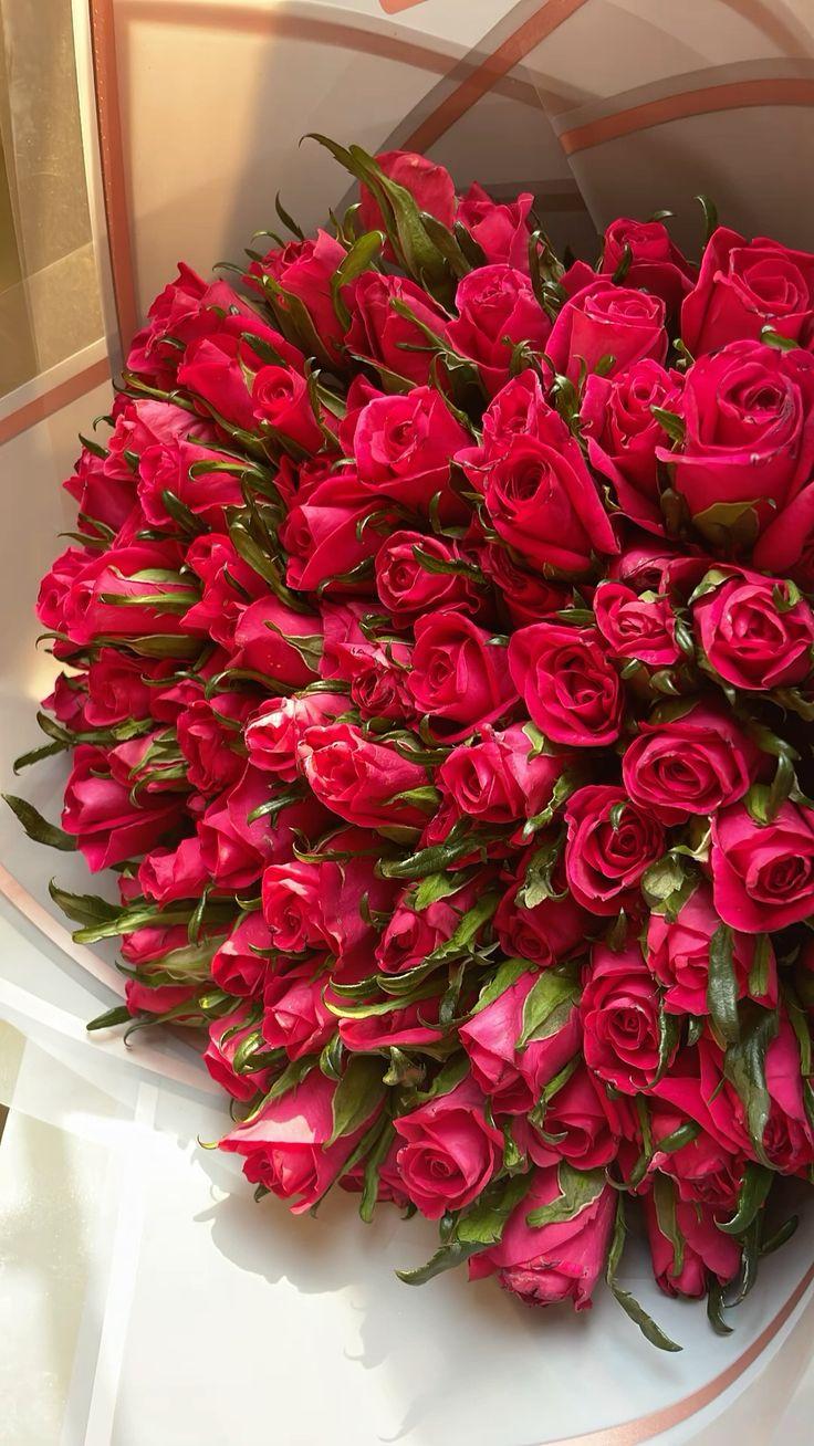 Celestial Blooms Symphony Cluster
