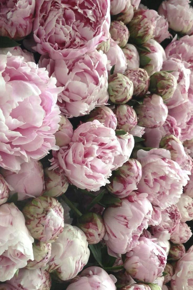Whispers of Dawn Pastel Posy